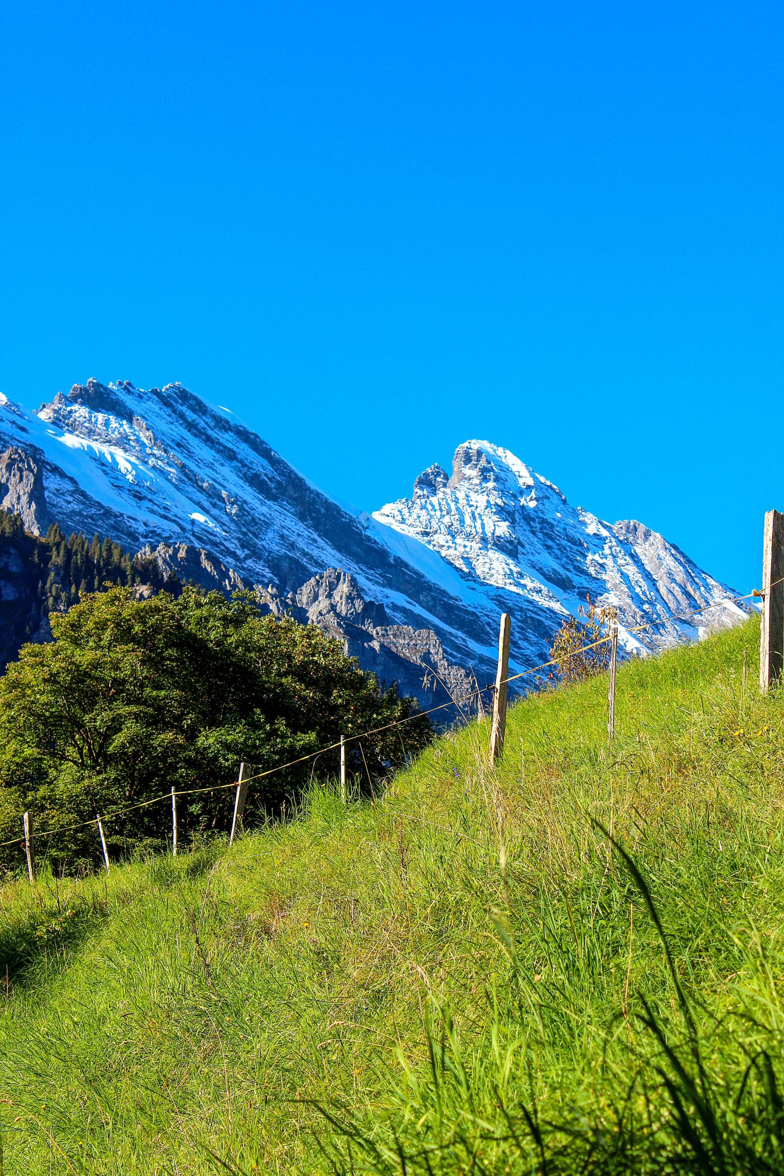 Canon EOS 600D (Rebel EOS T3i / EOS Kiss X5) sample photo. Mountains, landscape, nature photography