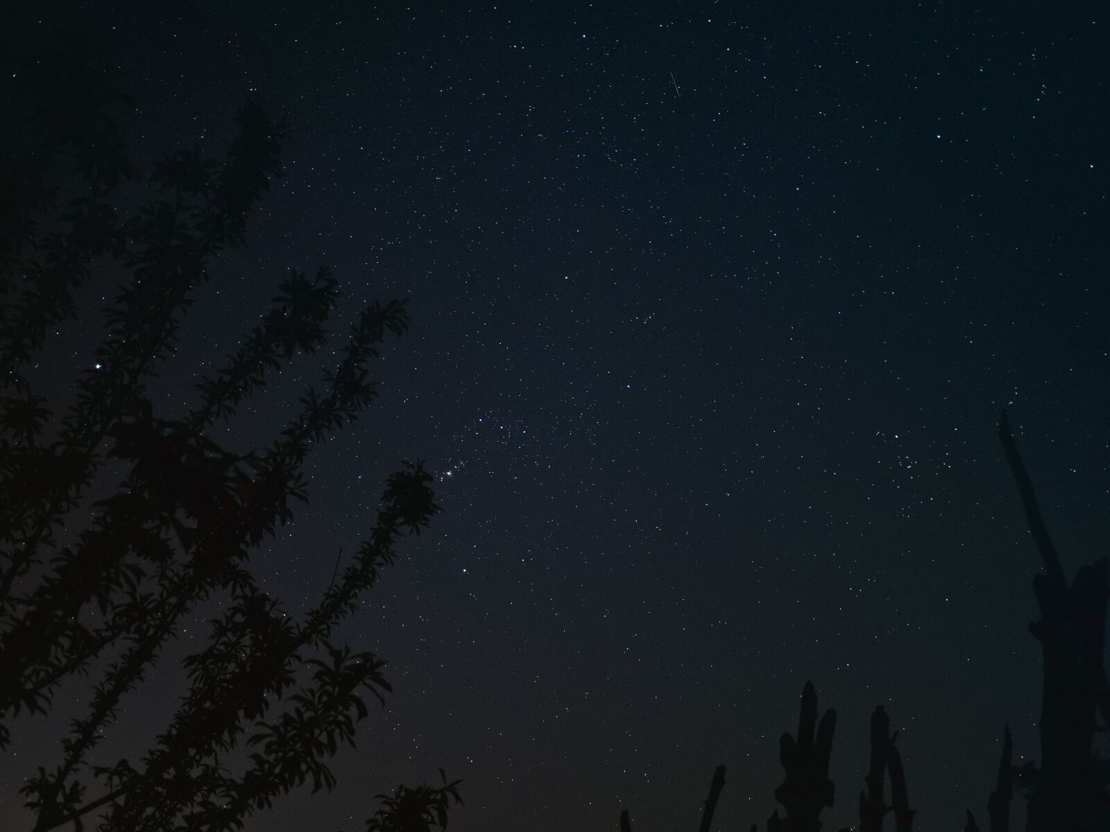 Panasonic Lumix DC-GX9 sample photo. Starry sky, night, stars photography