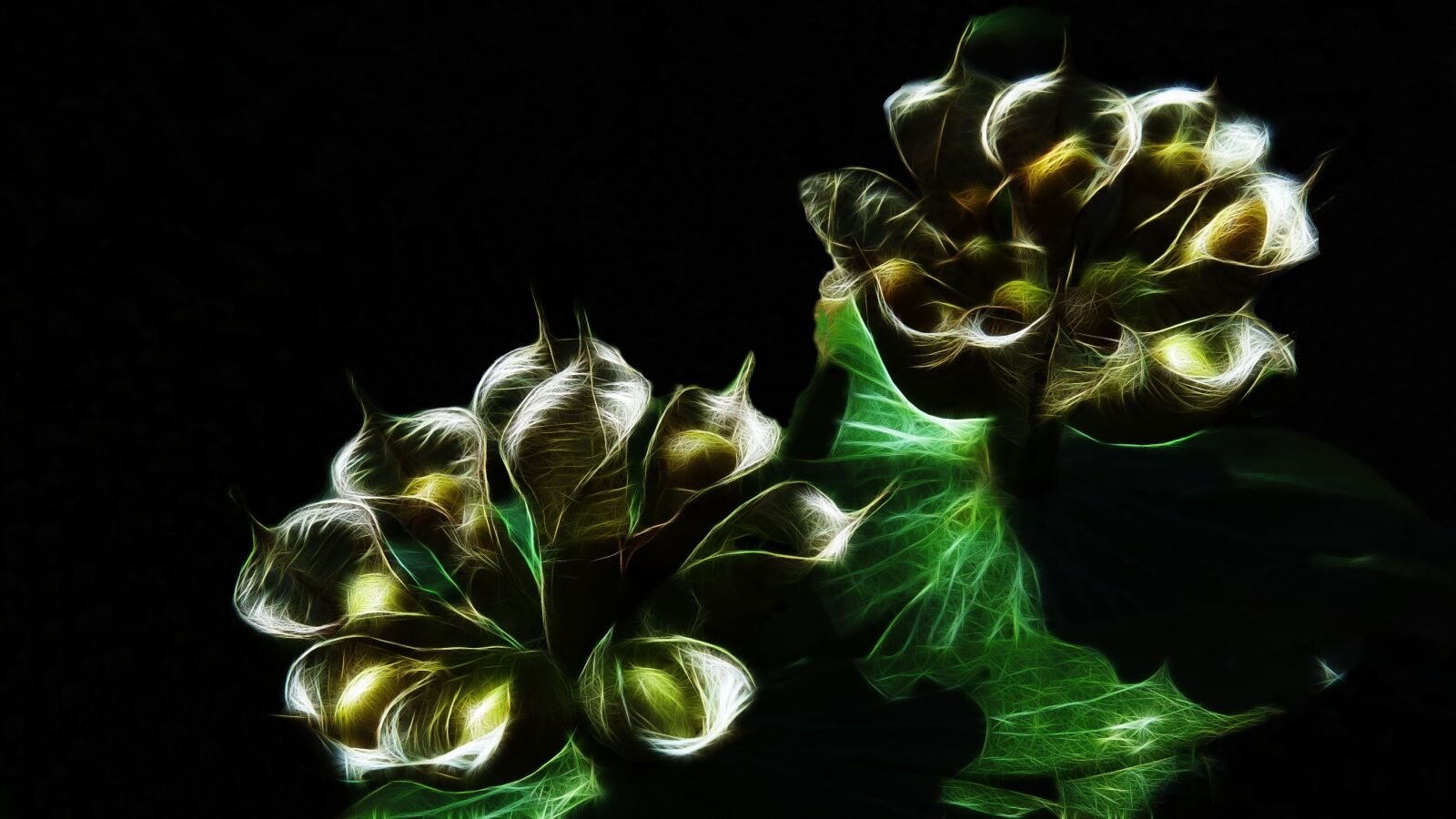 Canon PowerShot G15 sample photo. Fractalius, winterling, seeds photography