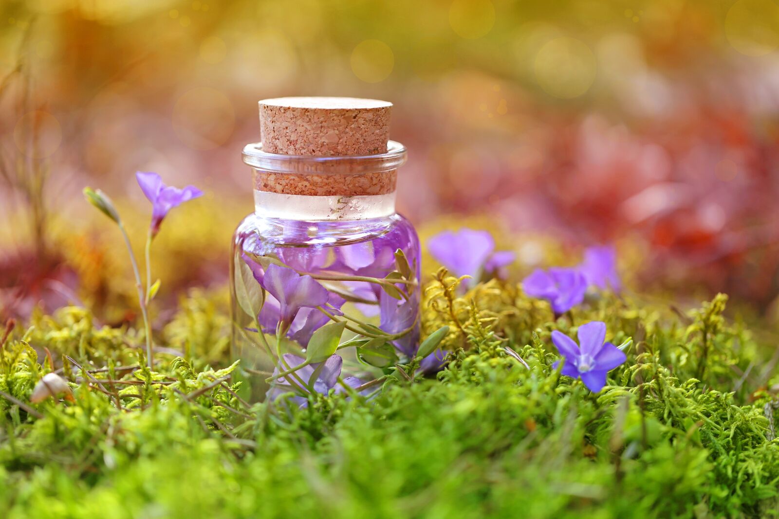 Canon EOS 6D sample photo. Purple, magic, potion photography