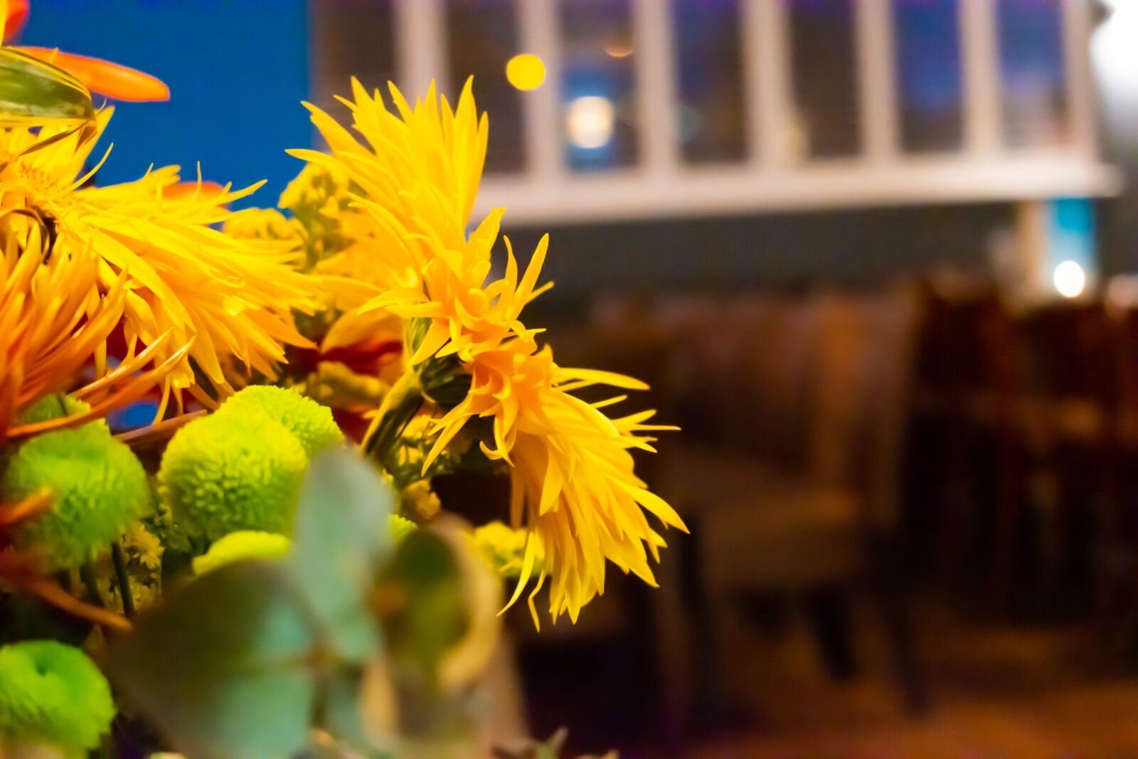 Nikon D3500 sample photo. Flowers, restaurant, cafe photography