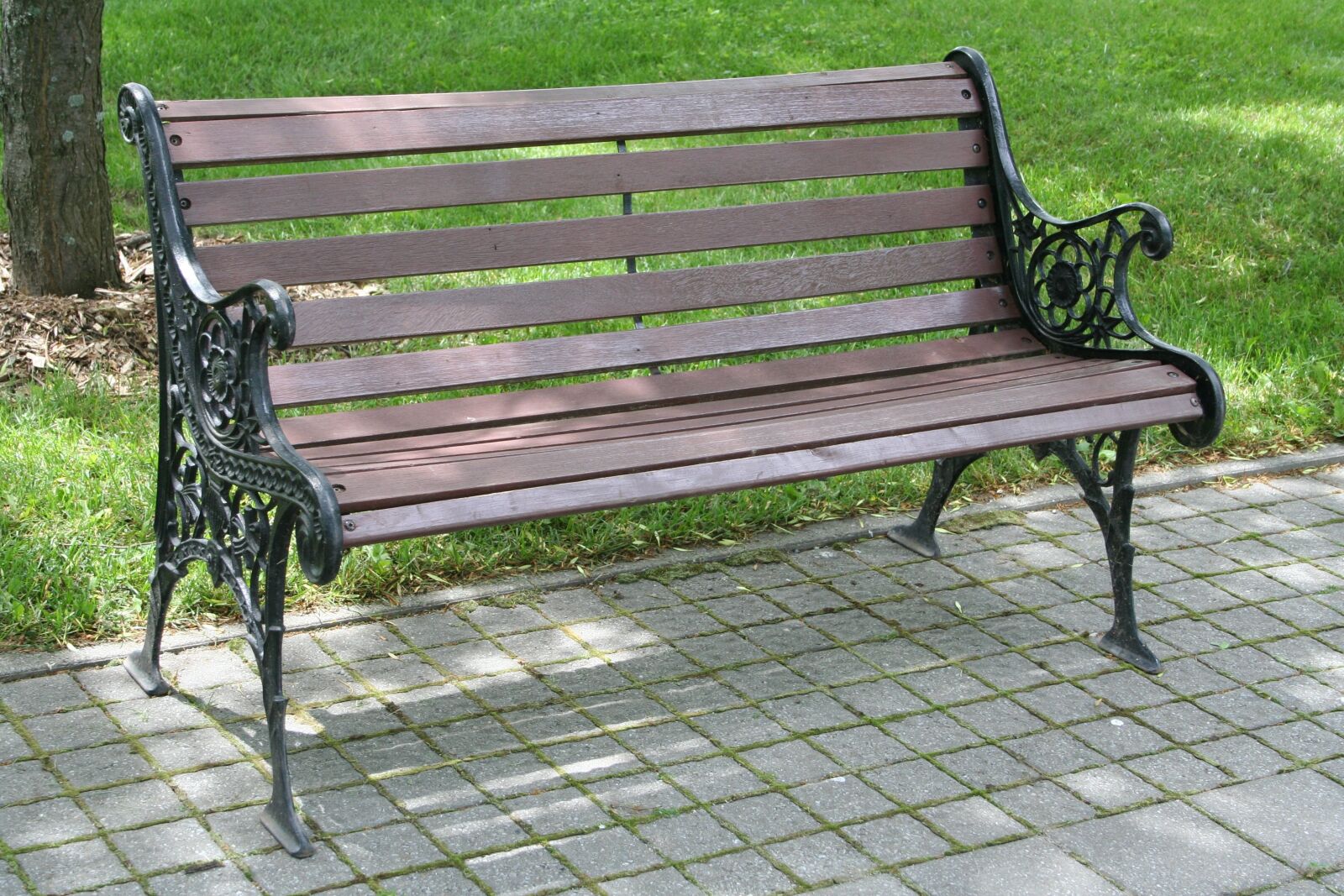 Canon EOS 350D (EOS Digital Rebel XT / EOS Kiss Digital N) sample photo. Bench, park, nature photography