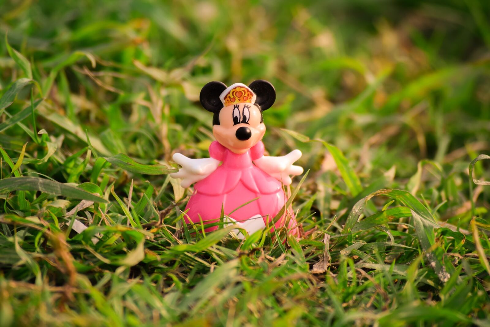 Nikon D3300 sample photo. The, cute, white photography