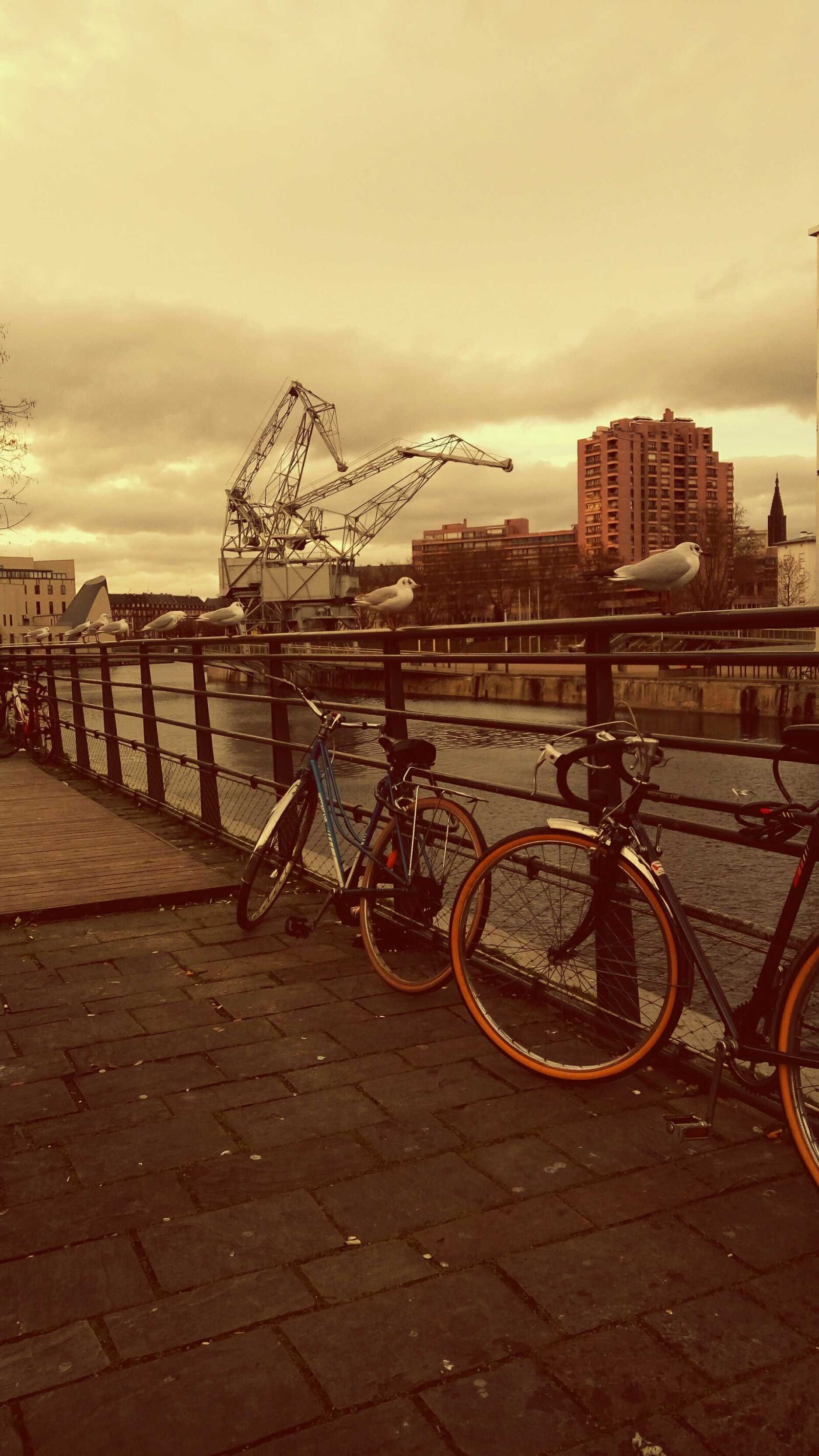 Xiaomi HM Note 2 sample photo. Strasbourg photography