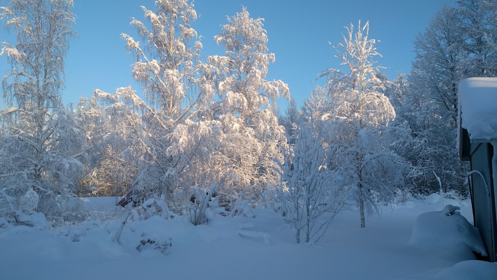 Google Nexus 6P sample photo. Winter landscape, v sterbotten photography