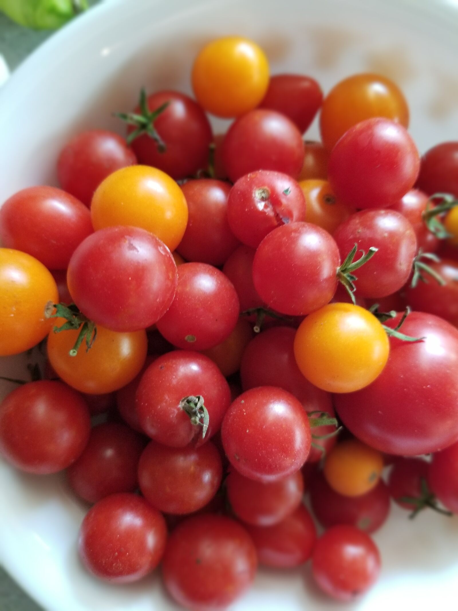 Samsung Galaxy S8+ sample photo. Cherry tomatoes, tomatoes, harvest photography