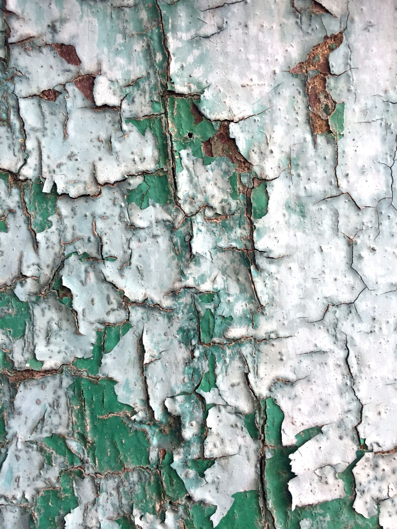 Apple iPhone 6 sample photo. Old wood, painted, texture photography