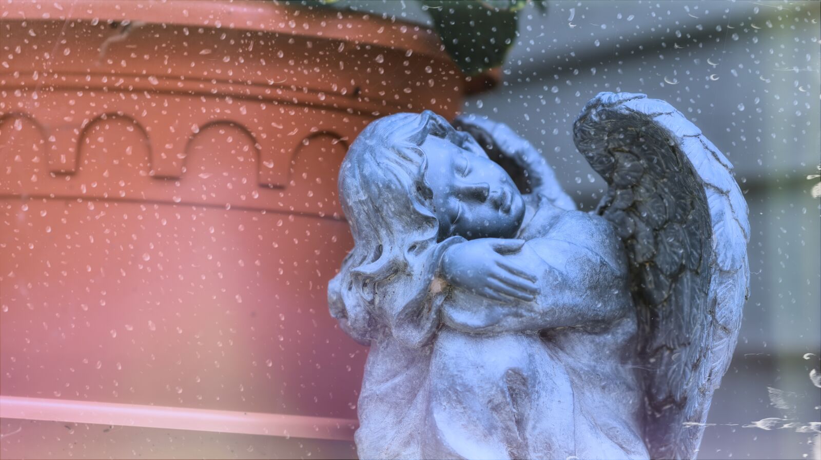 Nikon D500 sample photo. Angel, angels, statue photography
