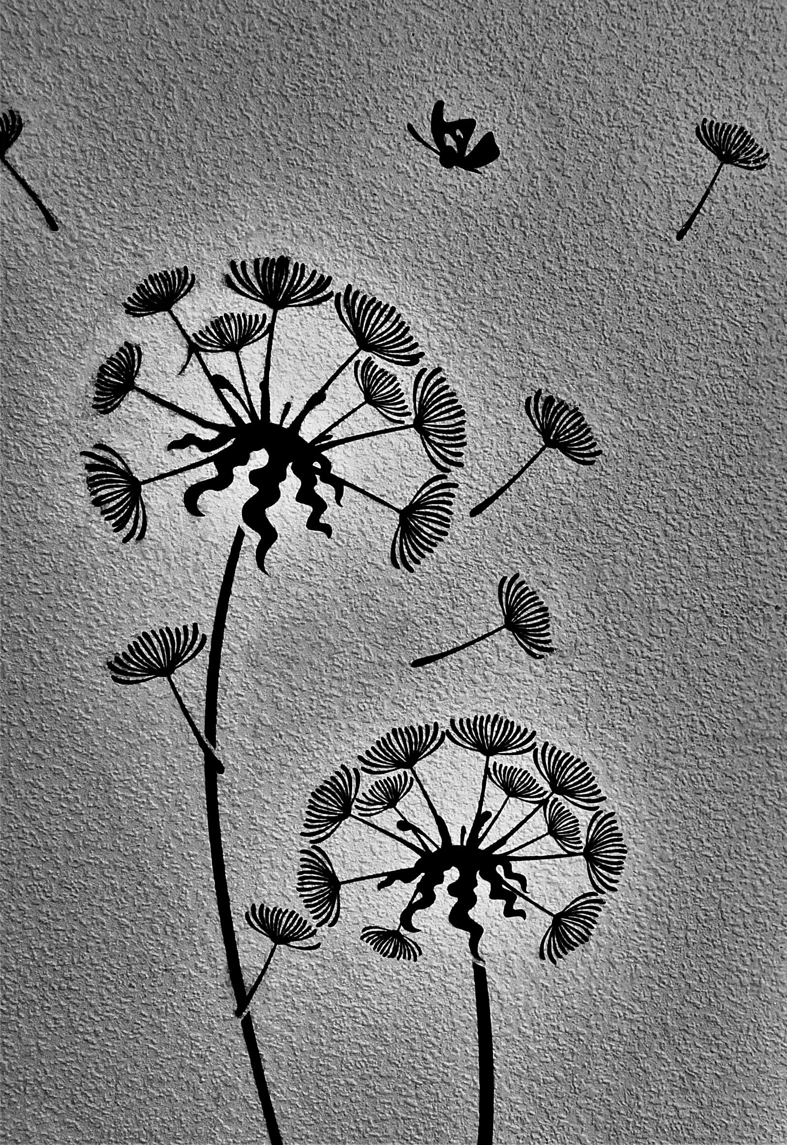 Panasonic Lumix DMC-FZ1000 sample photo. Background, s w, flora photography