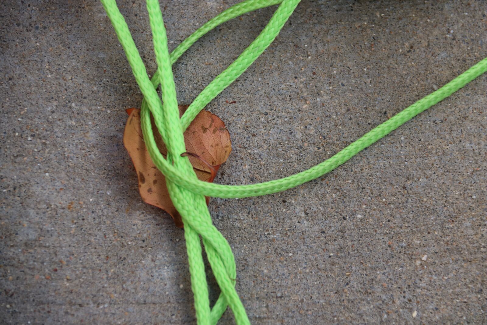 Canon EOS 750D (EOS Rebel T6i / EOS Kiss X8i) sample photo. Leaf, twine, concrete photography
