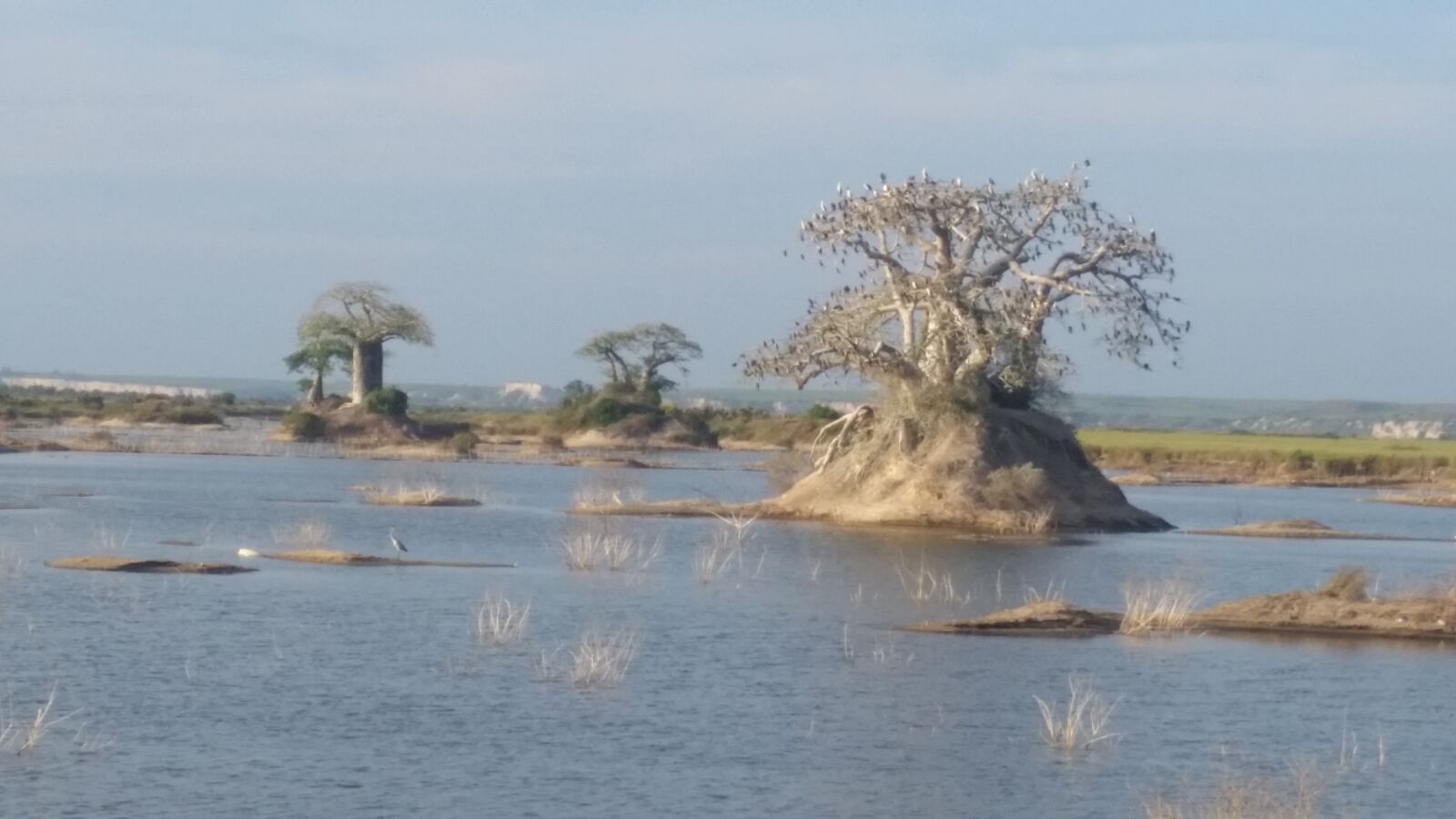 Samsung Galaxy S5 sample photo. Africa, landscape, nature photography