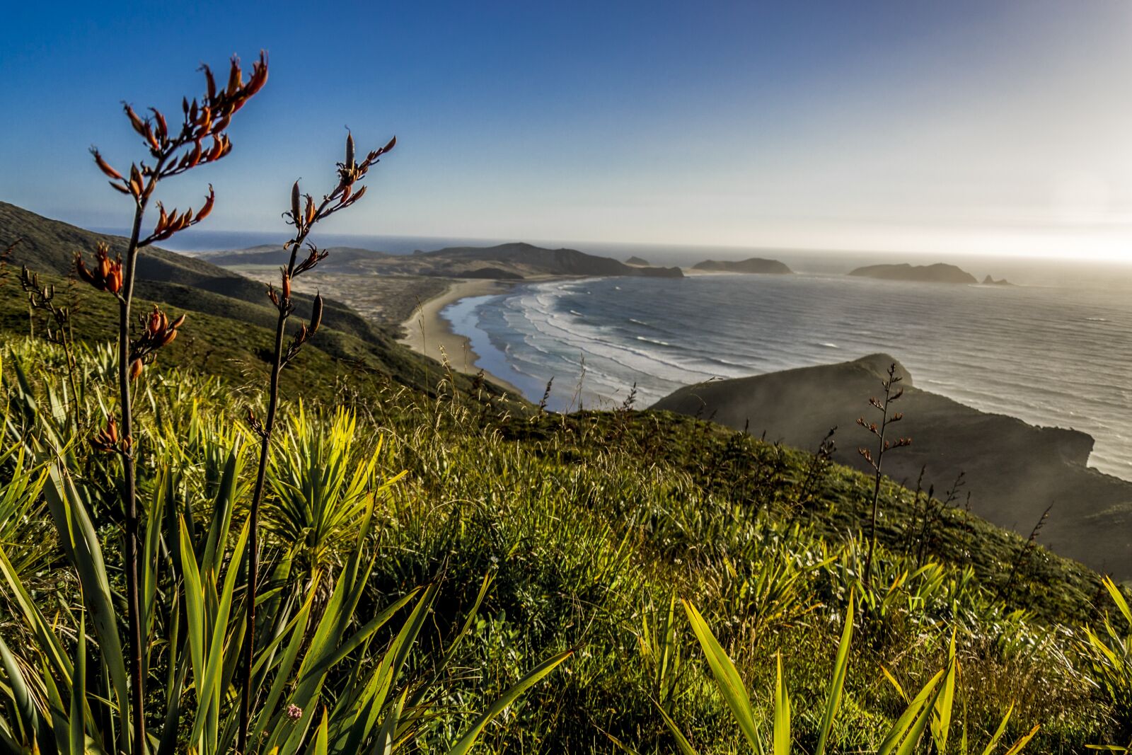 Nikon D3100 sample photo. Landscape, new zealand, nature photography