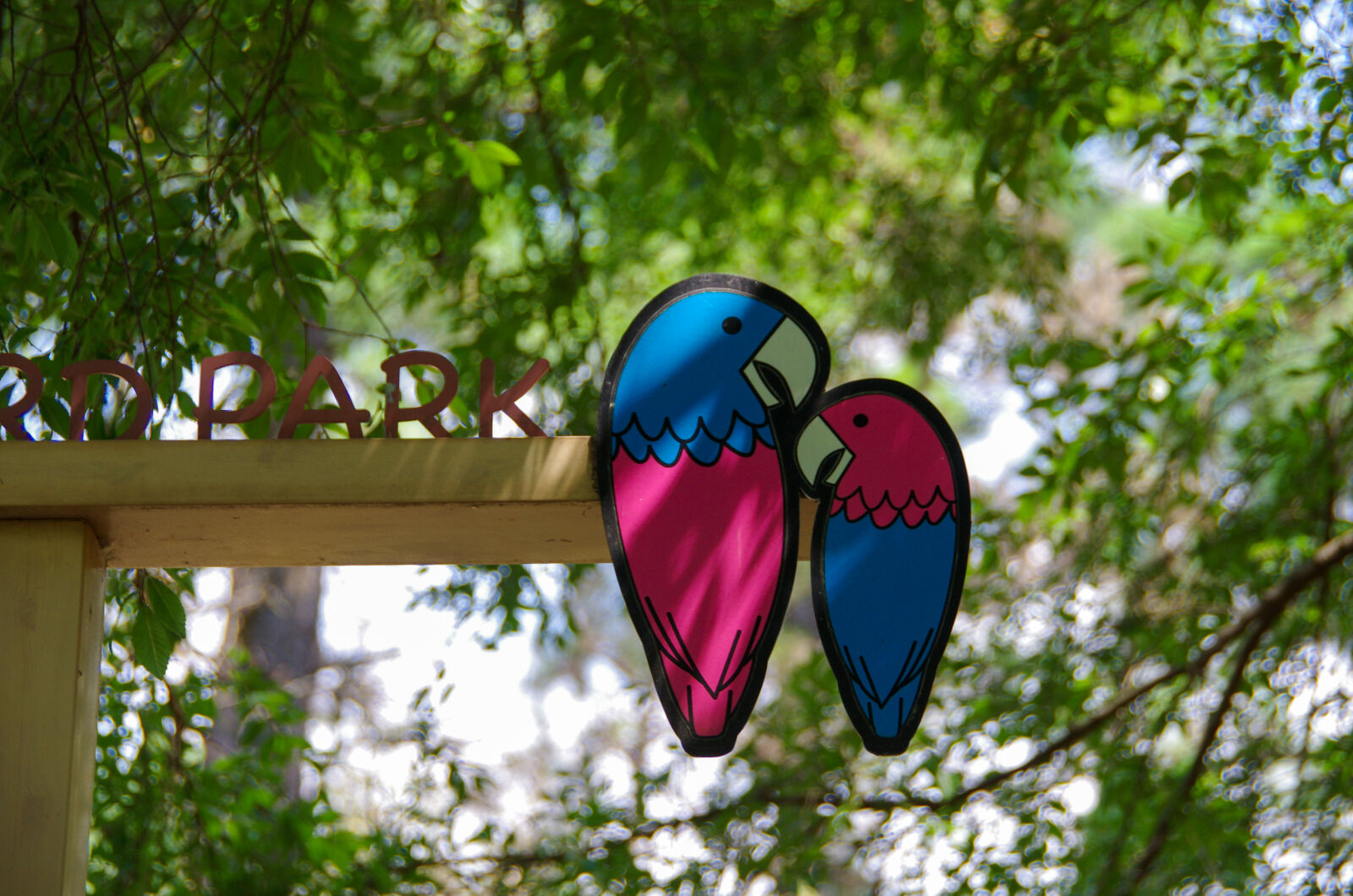Pentax K-5 sample photo