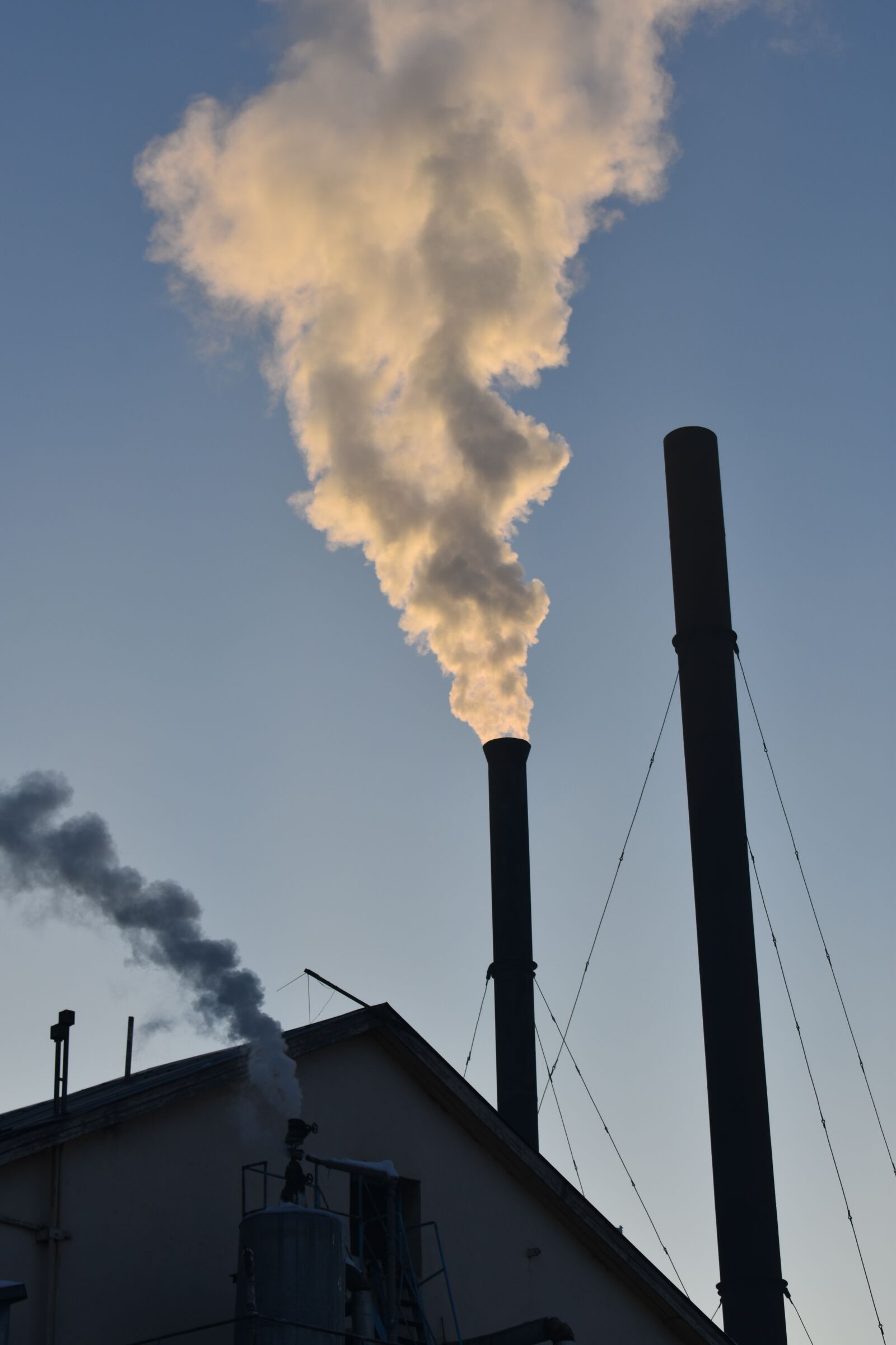 Nikon D3400 sample photo. Trumpet, smoke, city photography