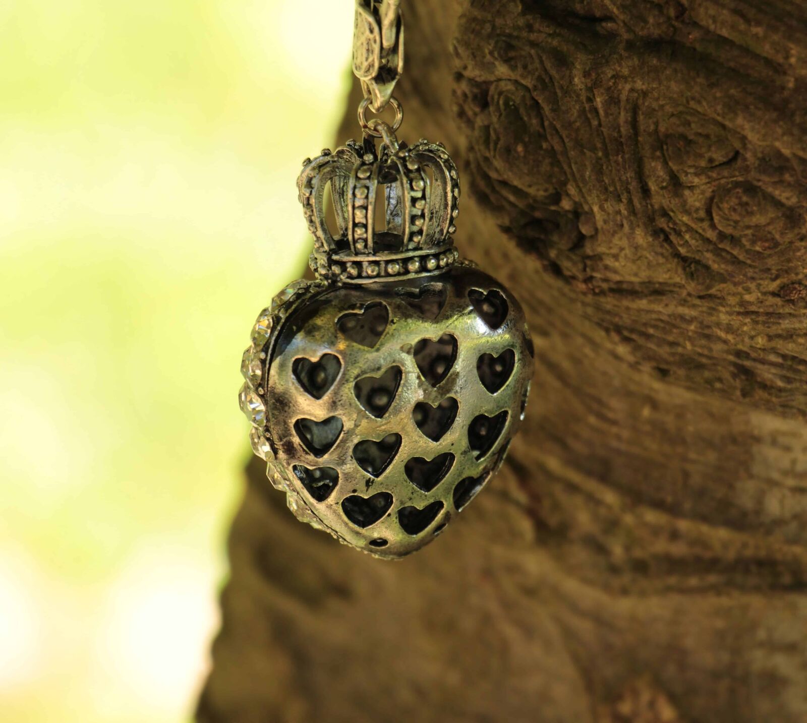 Canon EOS 100D (EOS Rebel SL1 / EOS Kiss X7) sample photo. Tree, metal, silver, heart photography