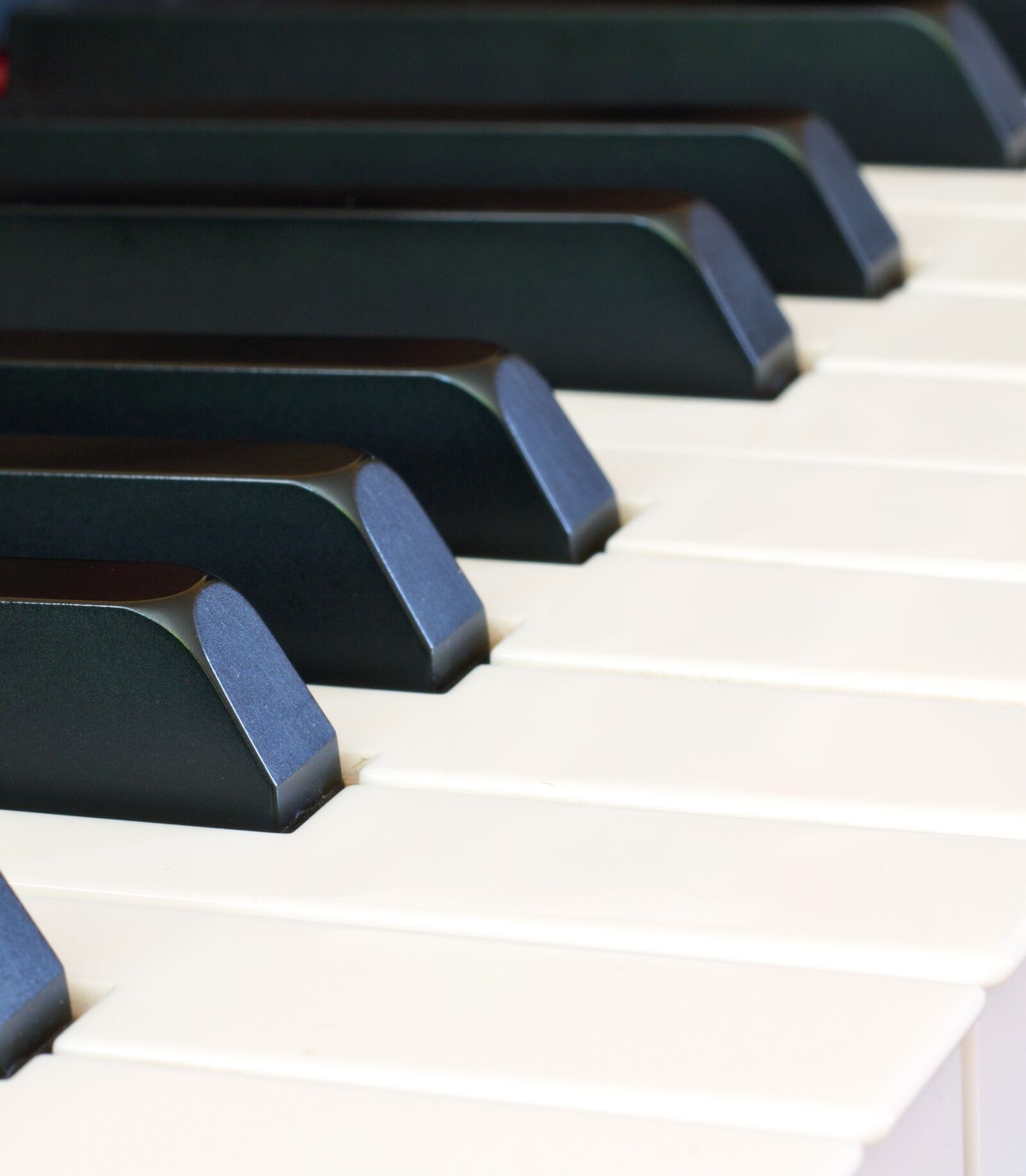 Canon EOS 550D (EOS Rebel T2i / EOS Kiss X4) sample photo. Piano, keyboard, keys photography