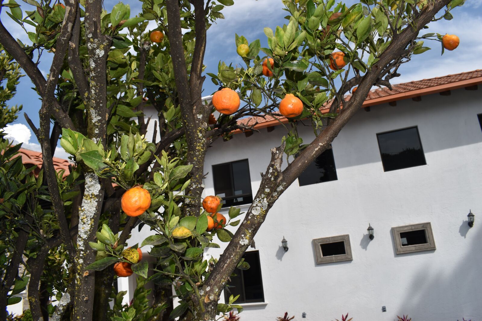 Nikon D5600 sample photo. House, architecture, building photography
