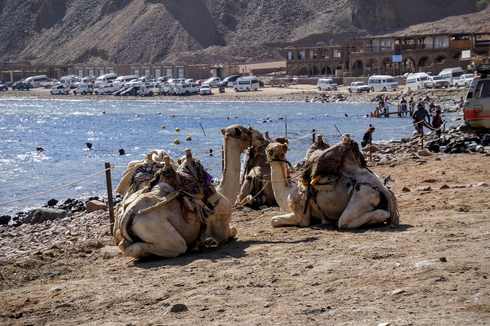 Canon EOS 60D sample photo. Africa, egypt, view photography