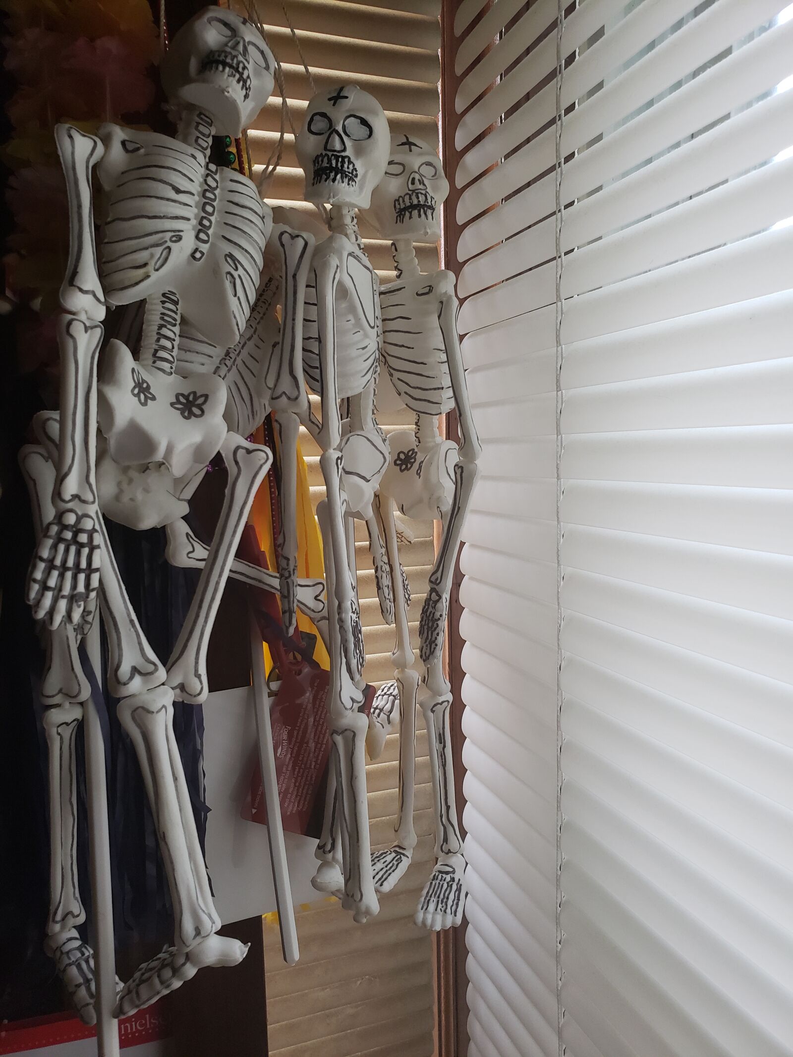 Samsung Galaxy Note9 sample photo. Skeleton, skeletons, blinds photography