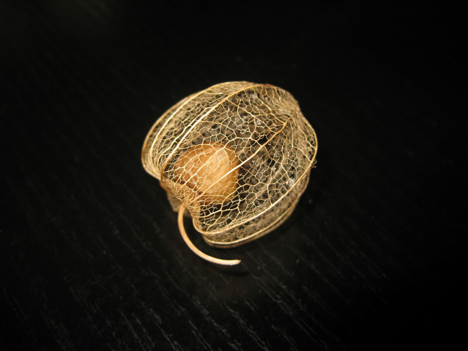 Canon IXY DIGITAL 2000 IS sample photo. Chinese lantern plant, berry photography