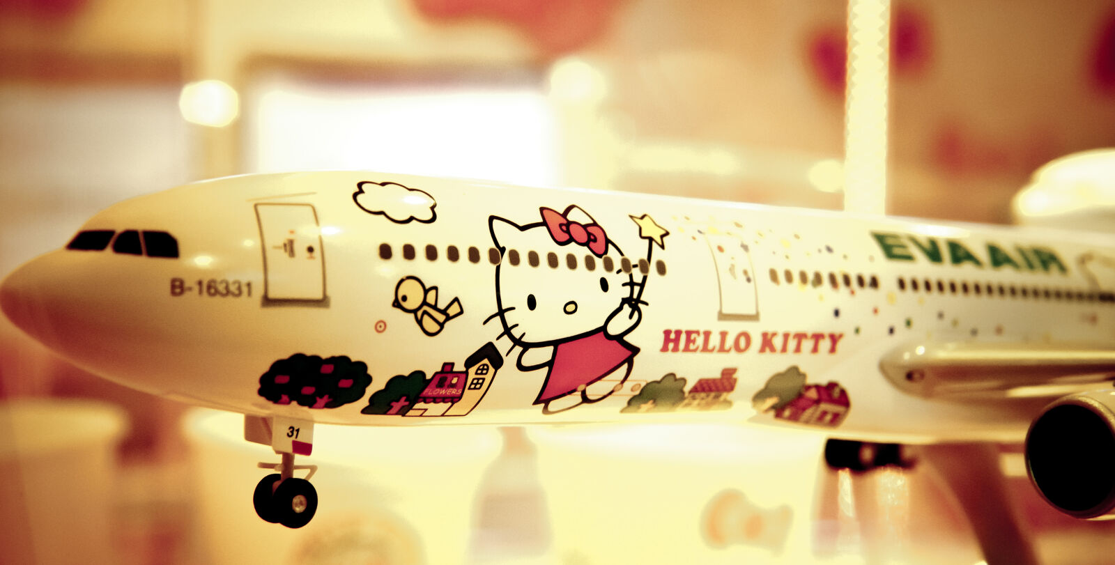 Nikon D300 sample photo. Eva, air, hello, kitty photography