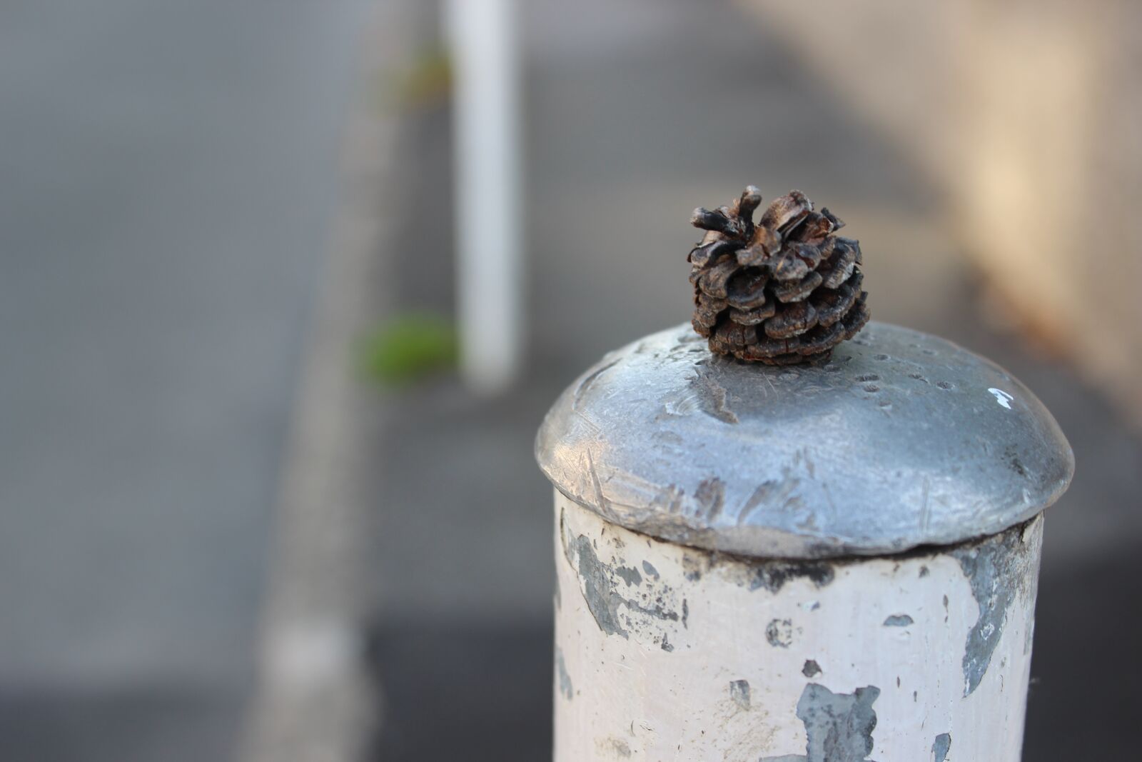 Canon EOS 600D (Rebel EOS T3i / EOS Kiss X5) sample photo. Away, post, pile photography