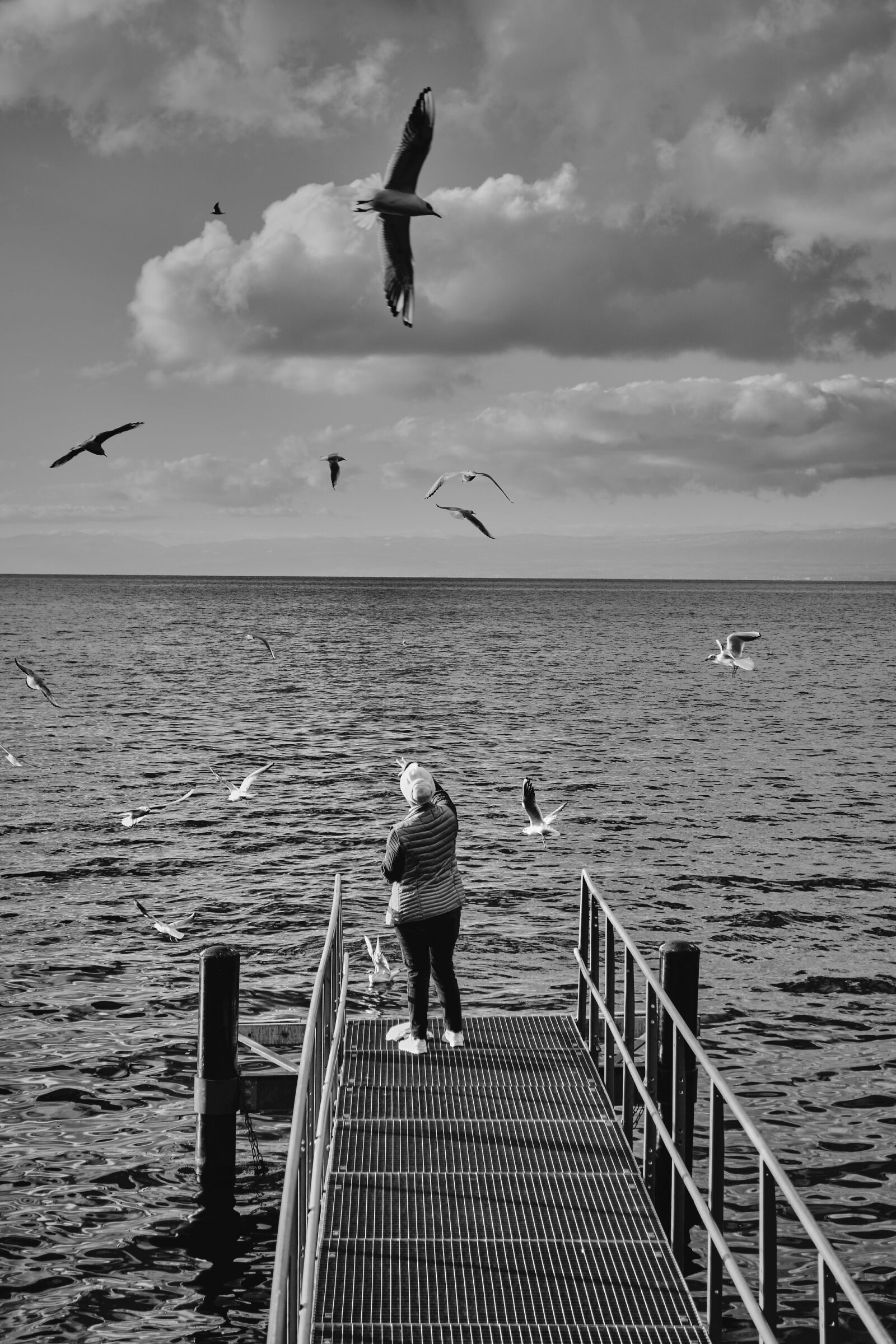 Nikon D5200 sample photo. Seagull, bird, flying photography