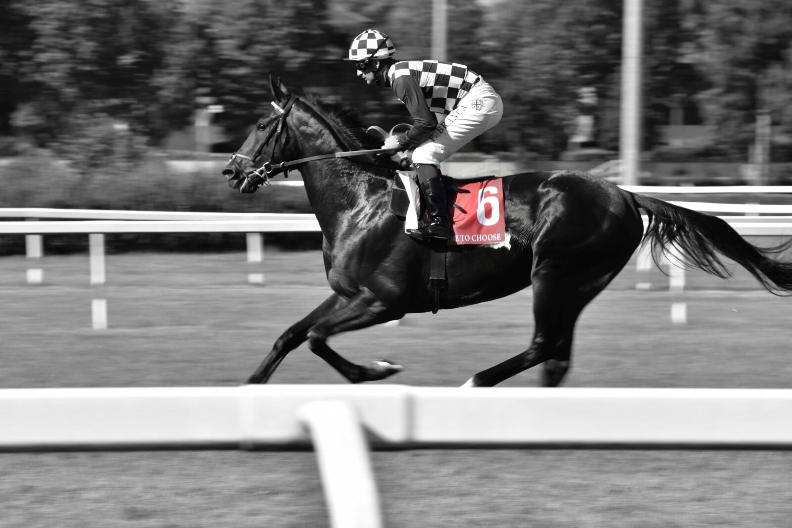 Nikon D7200 sample photo. Horse, jockey, stallion photography
