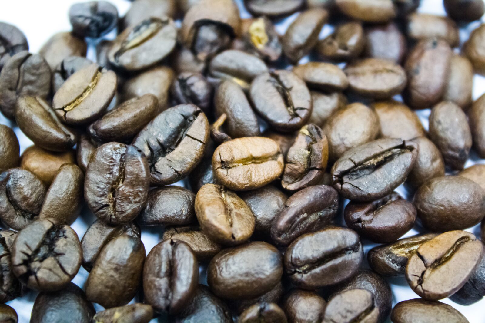 Canon EOS 60D sample photo. Coffee, the seed, beverage photography