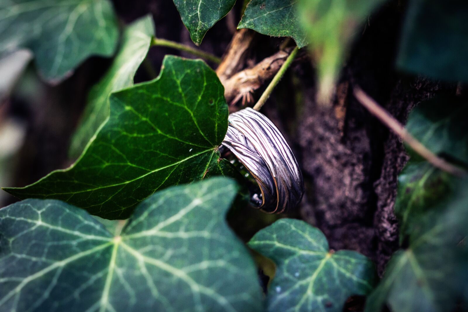 Canon EOS 7D + Canon EF 100mm F2.8 Macro USM sample photo. Ivy, ring, wedding photography