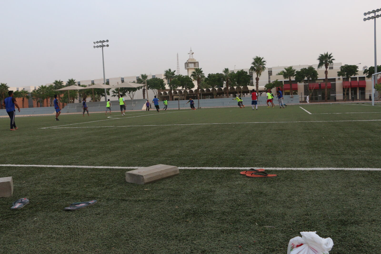 Canon EOS 70D sample photo