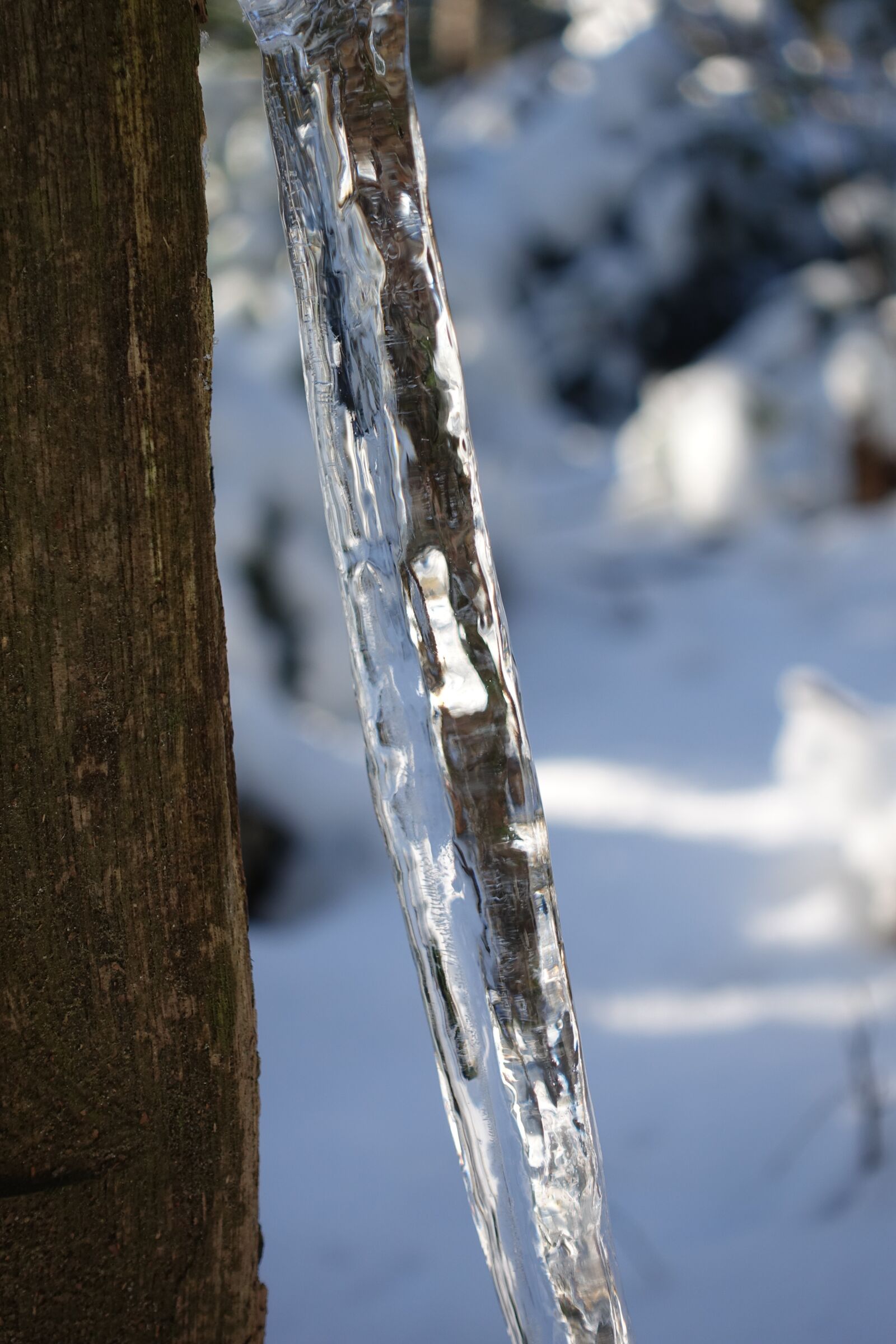 Sony Cyber-shot DSC-RX100 IV sample photo. Icicle, ice, frozen photography