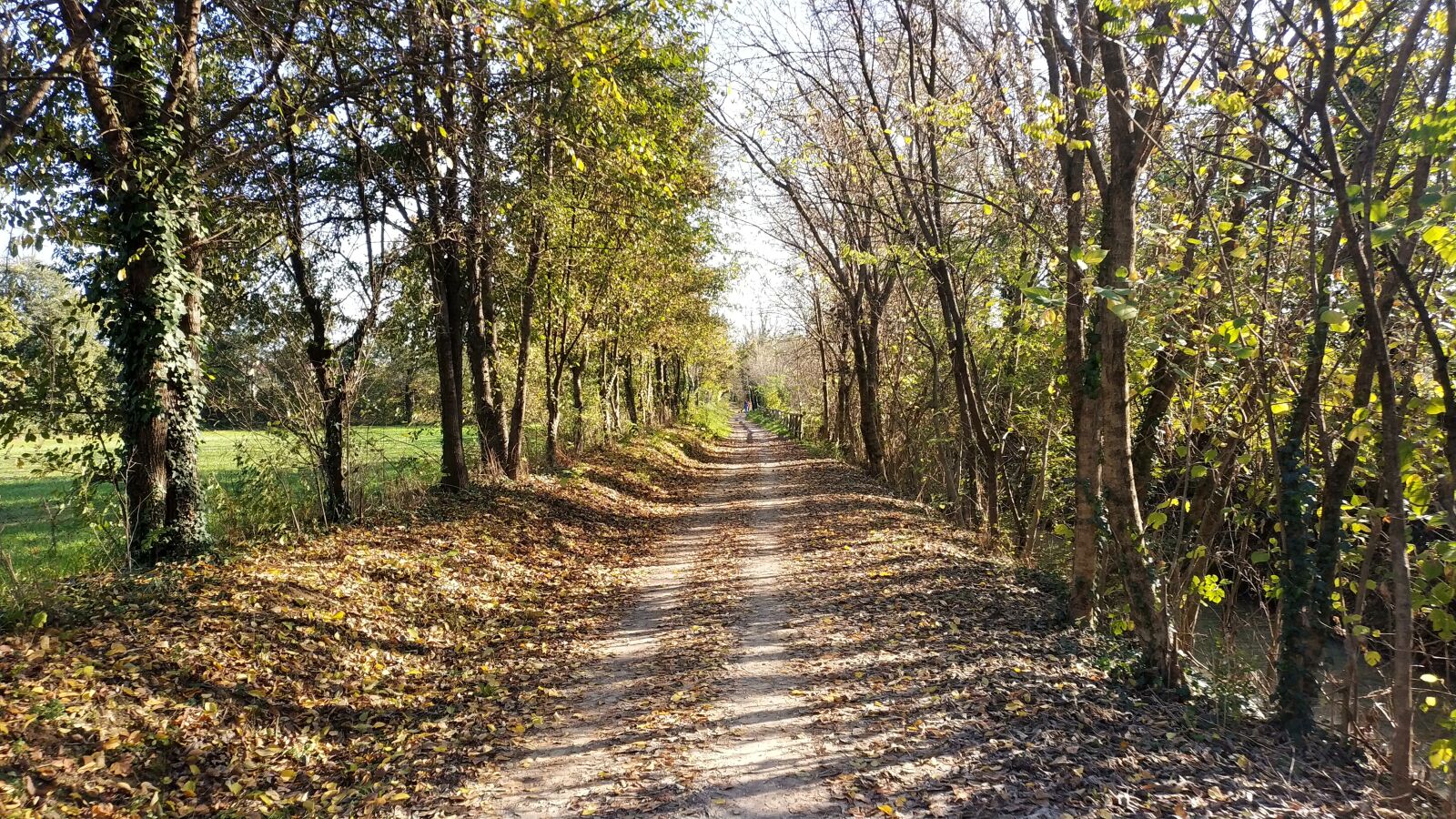 Xiaomi Mi MIX 2 sample photo. Trail, nature, trees photography