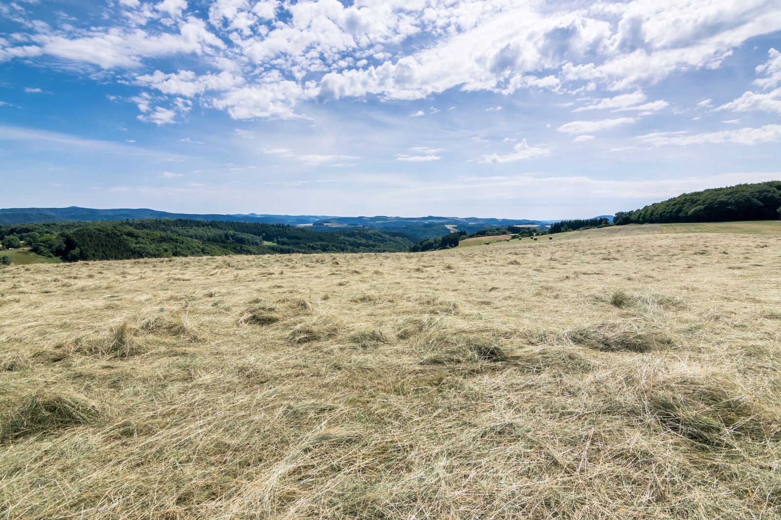 Nikon D5300 sample photo. Hay, summer, field photography