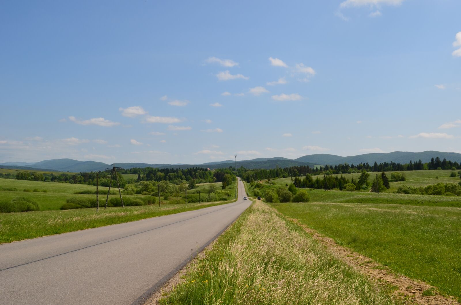 Nikon D5100 sample photo. Landscape, lawn, nature photography