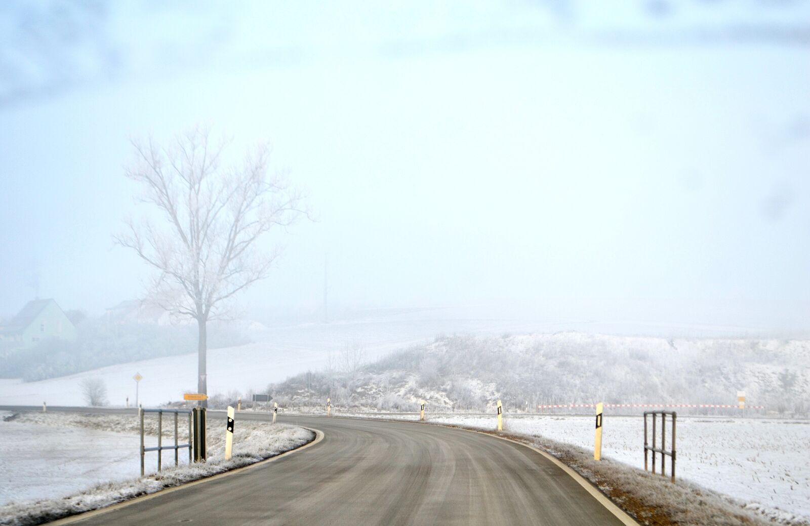Nikon D3100 sample photo. Road, winter, trees photography