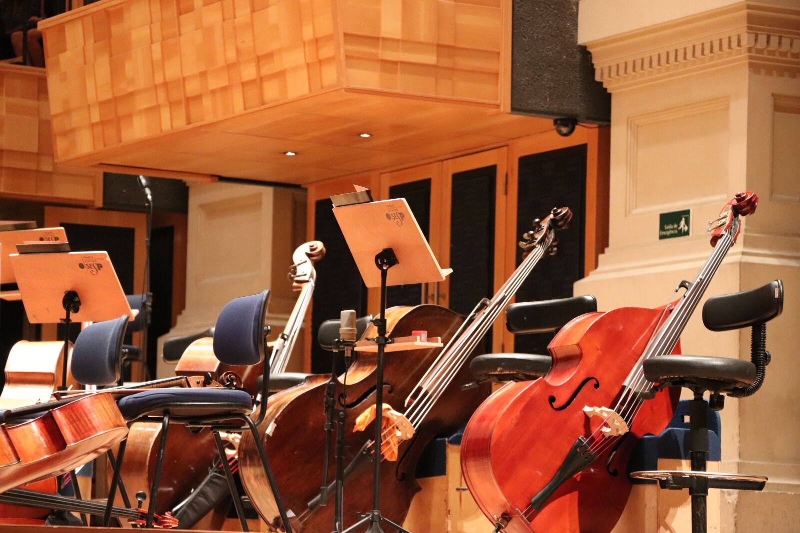 Canon EOS 200D (EOS Rebel SL2 / EOS Kiss X9) sample photo. Cello, orchestra, jazz photography
