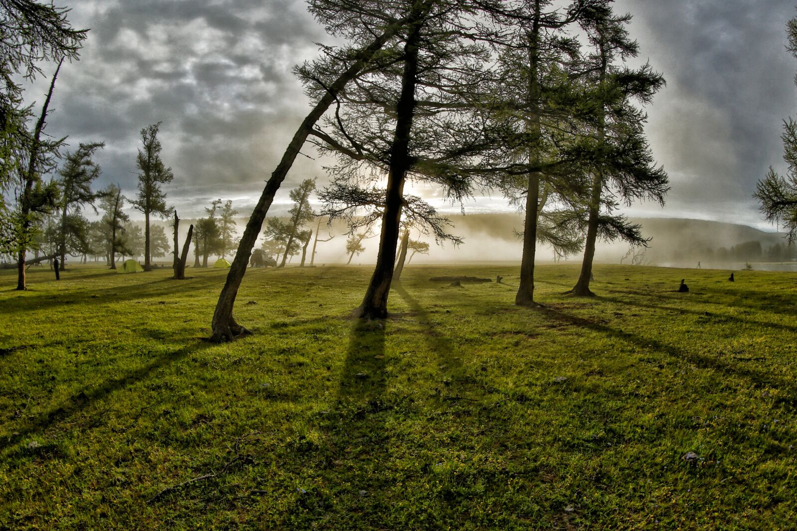 Canon EOS 5D Mark III sample photo. Groves, morning mist, light photography