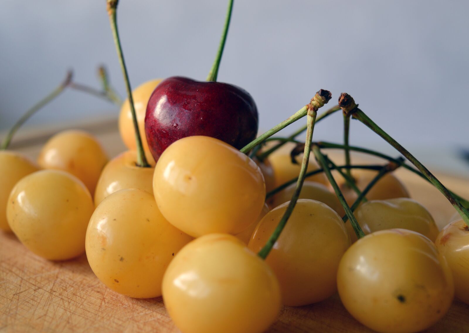 Nikon D3200 sample photo. Cherry, leadership, other photography