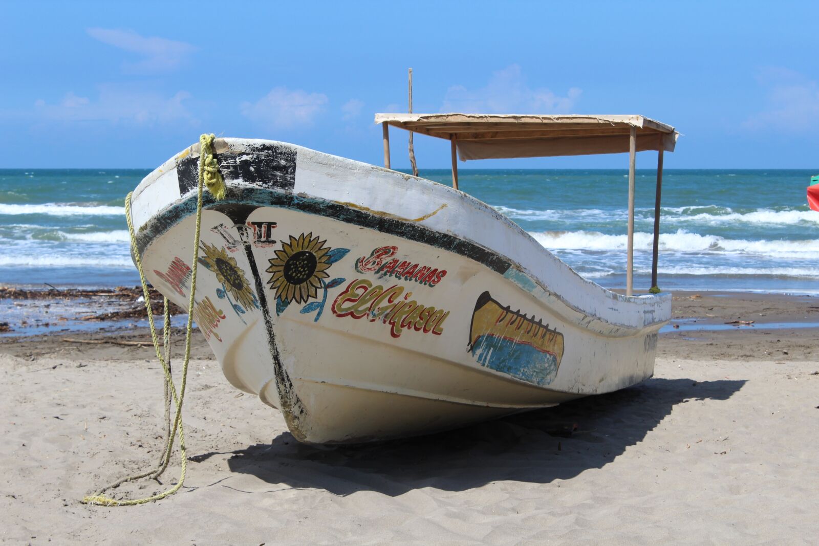 Canon EOS 1300D (EOS Rebel T6 / EOS Kiss X80) sample photo. Mexico, sun, veracruz photography