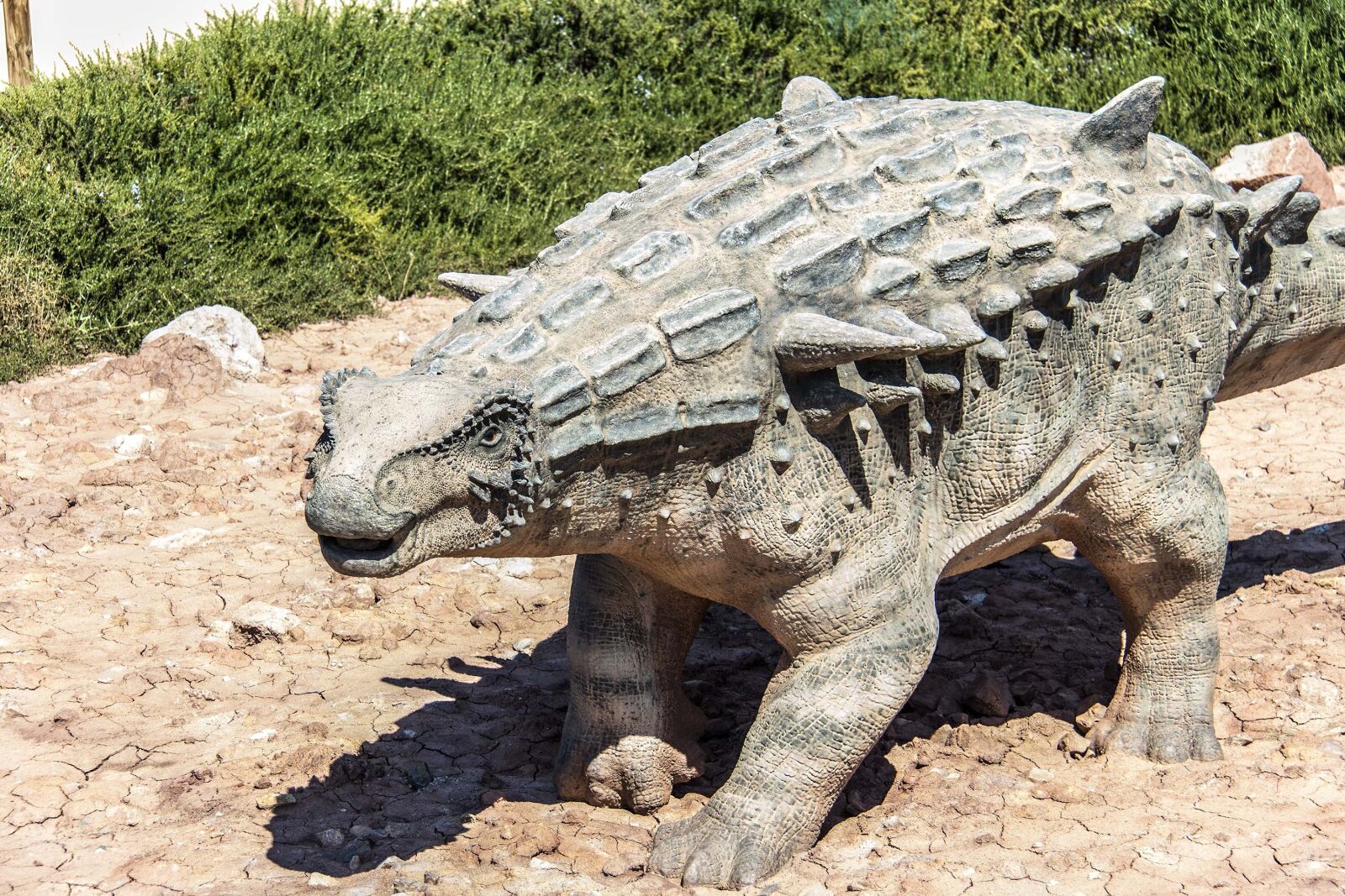 Canon EF-S 18-200mm F3.5-5.6 IS sample photo. Dinosaurs, prehistory, jurassic photography