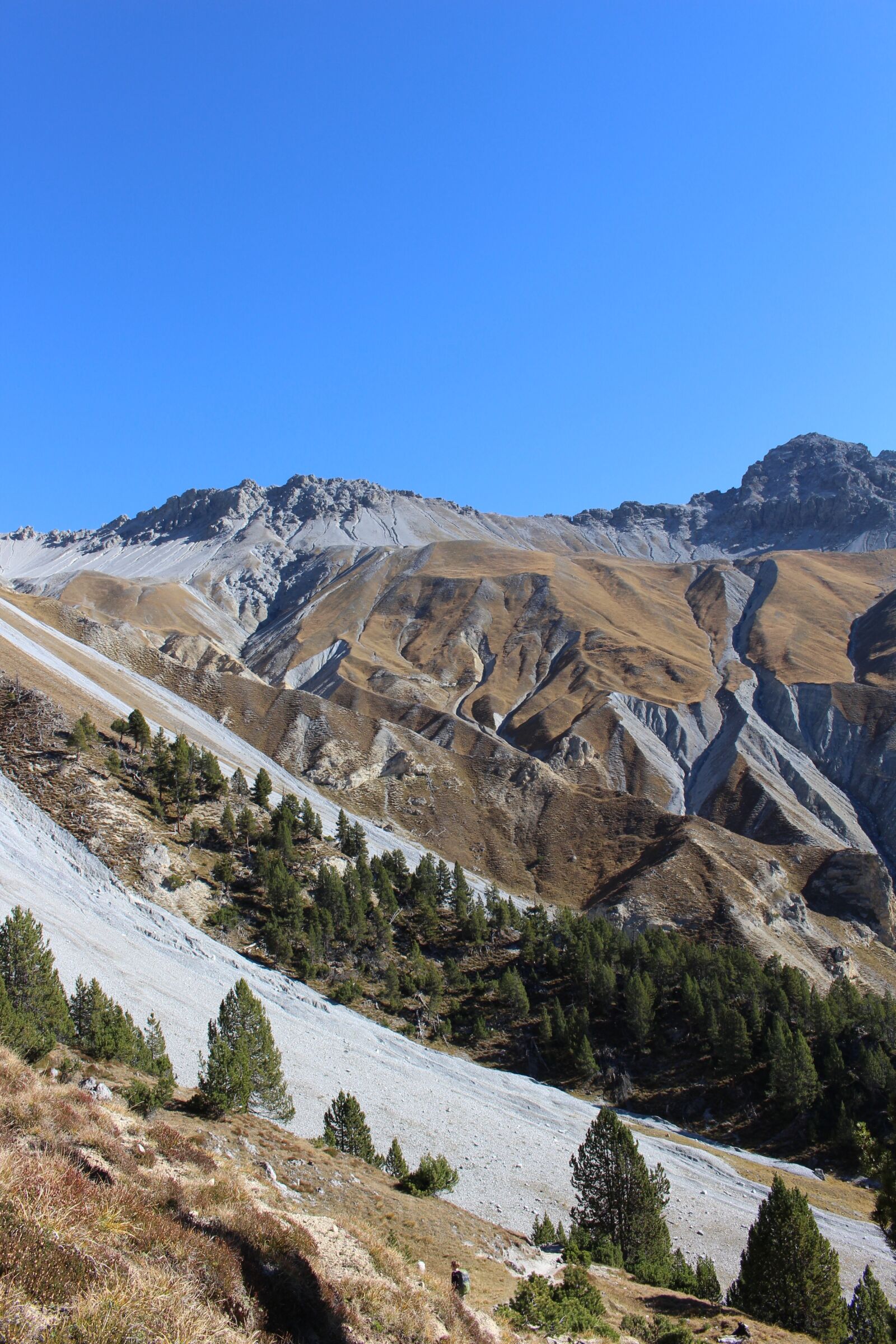 Canon EOS 700D (EOS Rebel T5i / EOS Kiss X7i) sample photo. Mountains, forest, clouds photography
