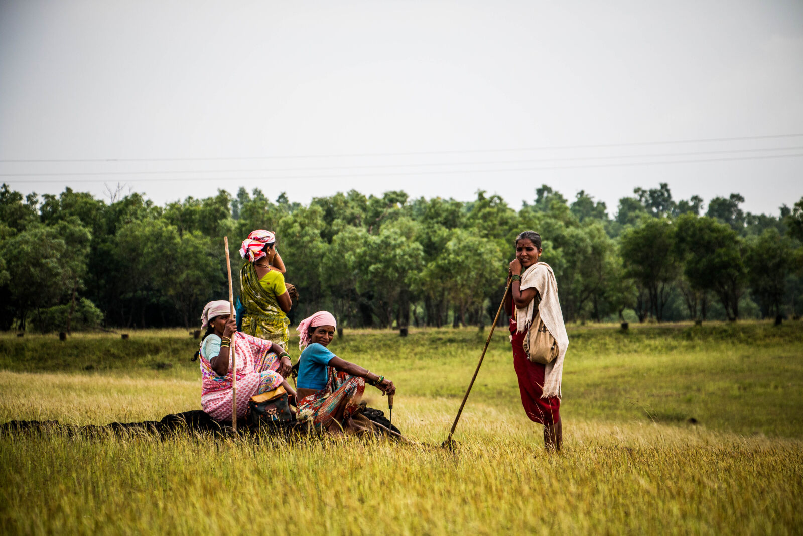 Canon EOS 70D sample photo. Countryside, dramatic, india, mothernature photography