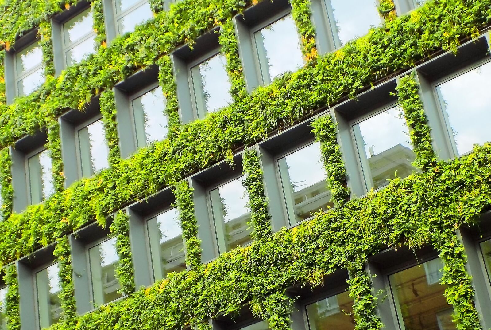 Nikon COOLPIX L340 sample photo. Grass walls, london building photography