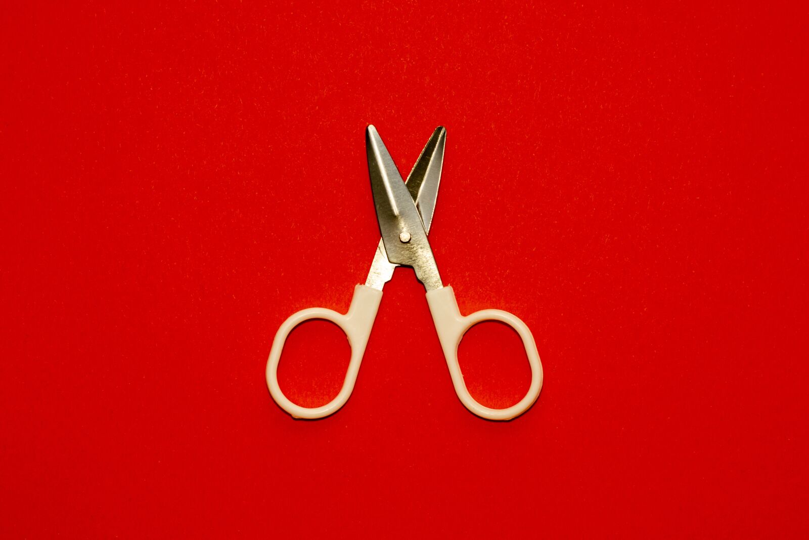 Nikon D5300 sample photo. Scissors, tool, cut photography
