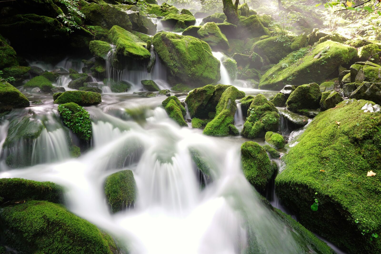 Sony FE 24-105mm F4 G OSS sample photo. Brook, water, clean photography