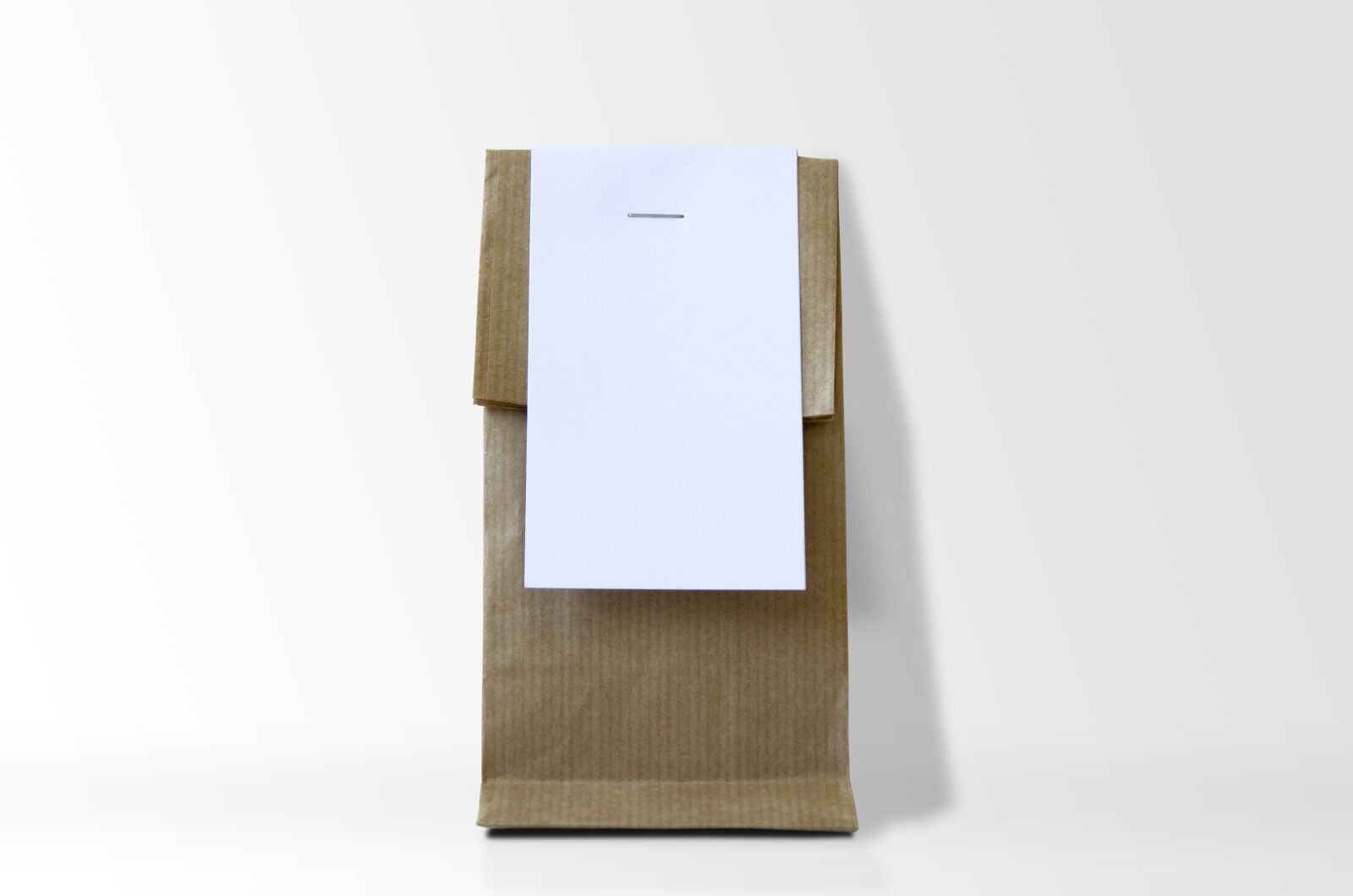 Nikon D5100 sample photo. Kraft, bag, paper photography