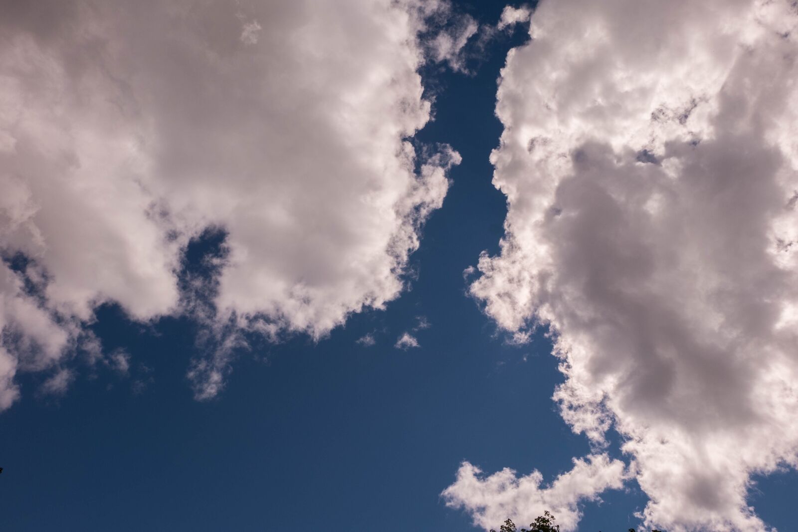 Fujifilm X-A2 + Fujifilm XC 16-50mm F3.5-5.6 OIS II sample photo. Sky, beauty, stroll photography