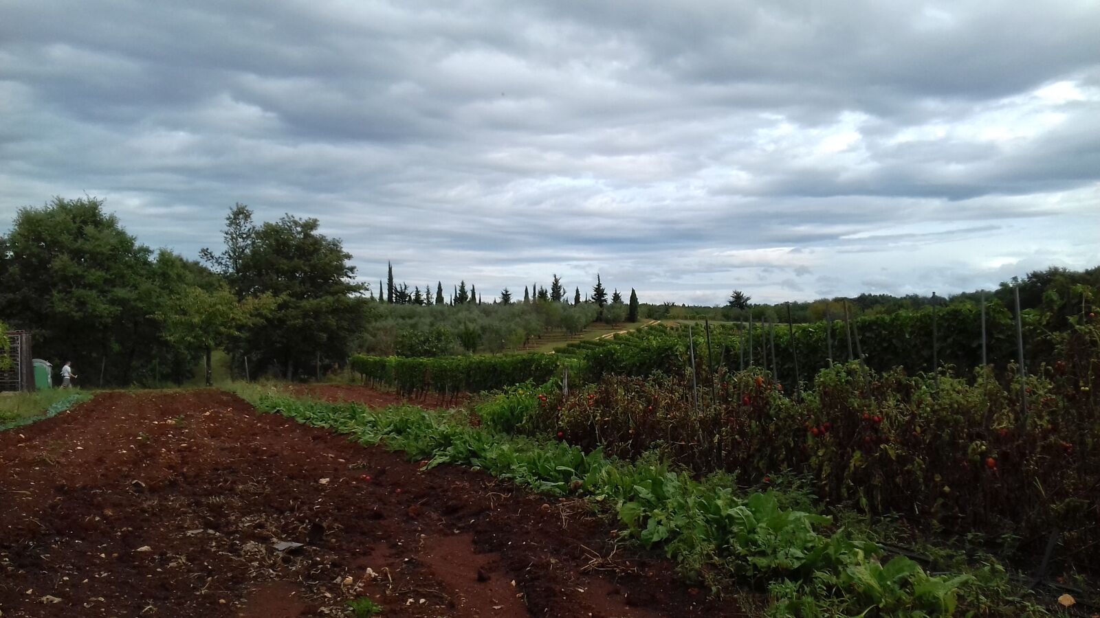 Samsung Galaxy J3(2016) sample photo. Field, line, sea, of photography