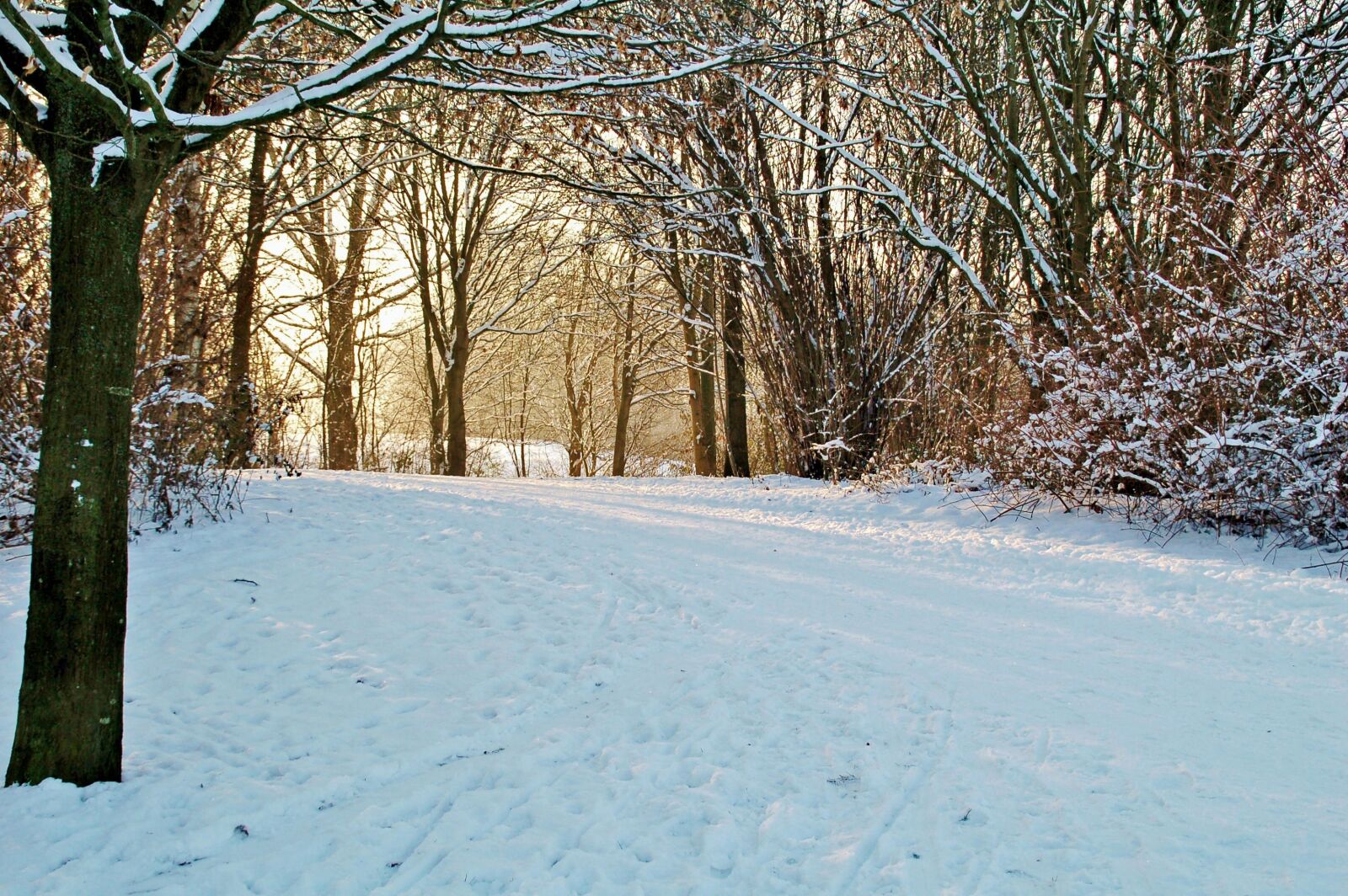 Nikon D50 sample photo. Winter, snow, cold photography